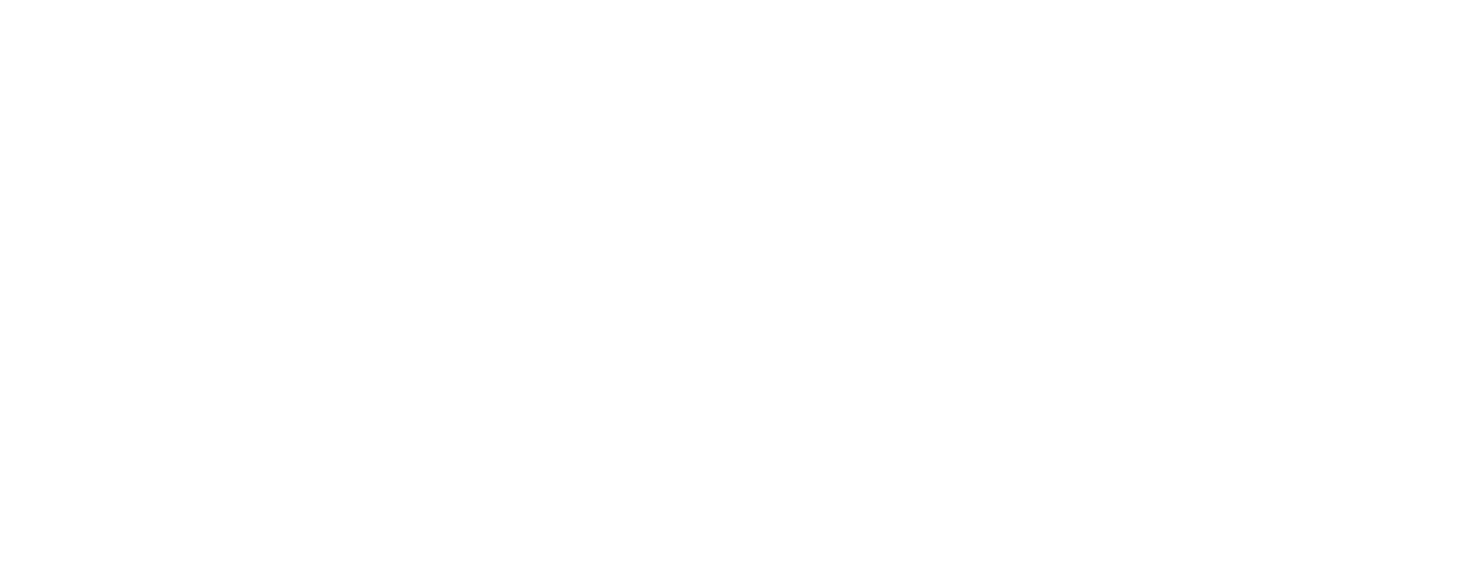 Flyy Professional Drone Training